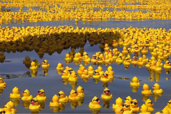 Friendly Floatees